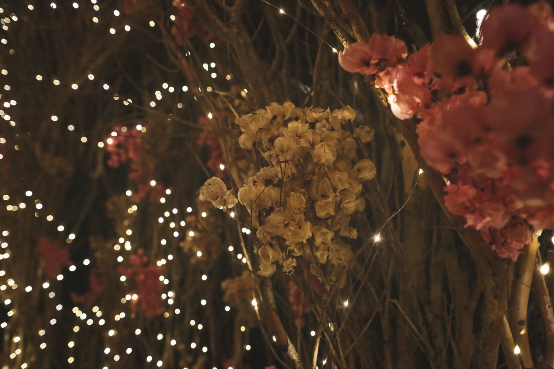 Foto Casamento Bruna & Breno 12/outubro/2018 - Imagem 27